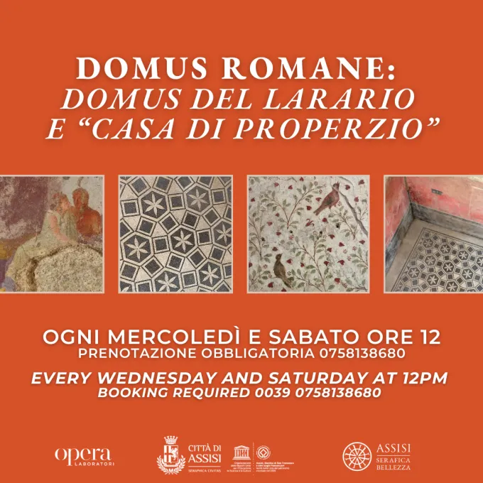 Visite guidate alle Domus Romane di Assisi